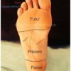 lecture psycho émotionnelle des pieds - exemple