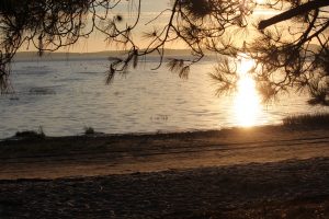 nature - meditation